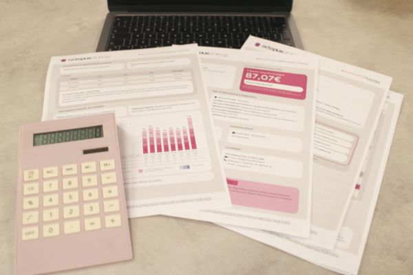 Optimisez votre dossier de vente avec un audit énergétique